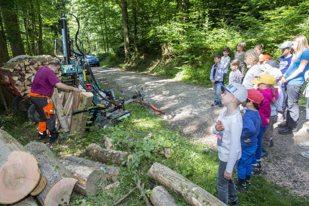 Forstunternehmer Jean-Pierre Mayor demonstriert vor Ort seine Holzspaltmaschine