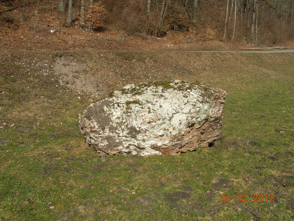 Ein solcher Fels kugelte im März 2013 über die Strasse und stoppte auf der Wiese.