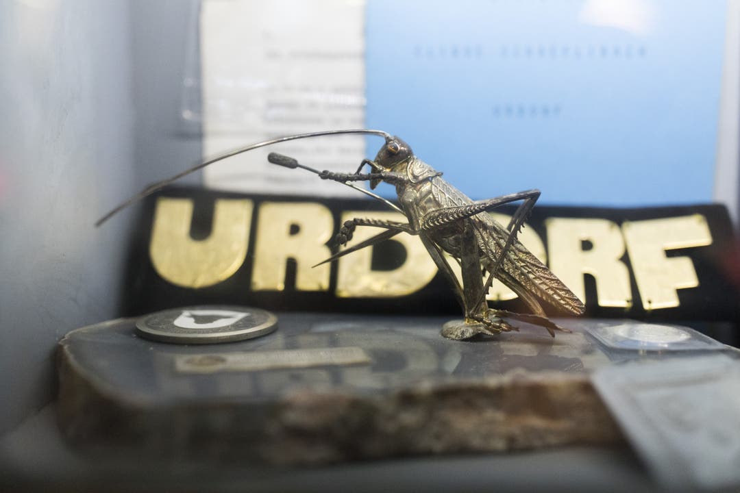 Auch diese Grasshopper-Figur ist in der Cliquenstube zuhause: 1981 hat sie der damalige GCZ-Präsident und Schirmherr Karl Oberholzer der Clique Schäflibach geschenkt.