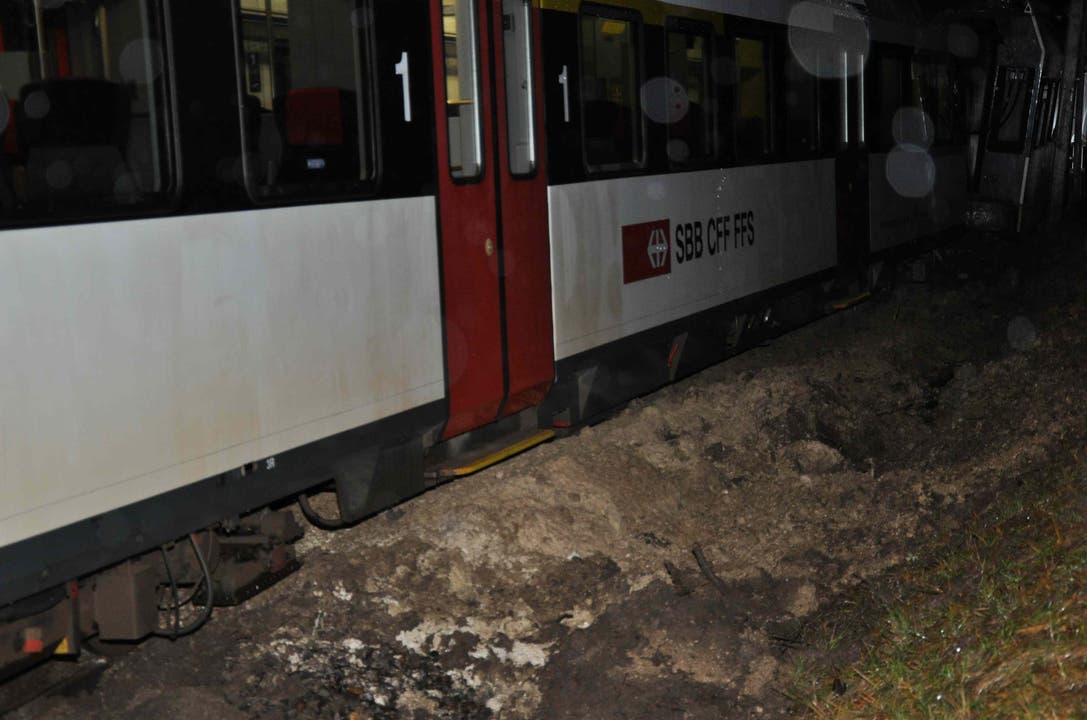 Im Zug befand sich neben dem Lokführer eine Passagierin. Beide blieben unverletzt.