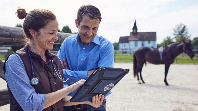 Ein neues dialoges Diagnosesystem ermöglicht es, die Körperfunktionen von Pferden in deren gewohnter Umgebung zu erfassen.