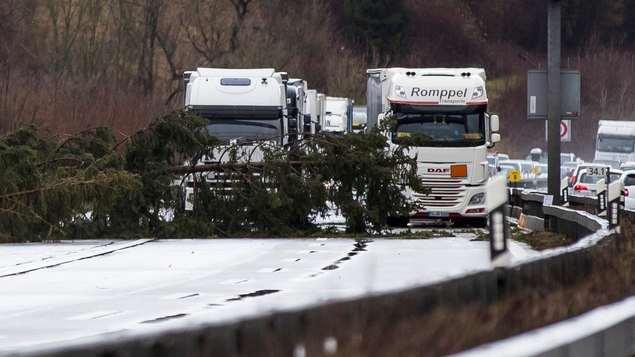 Ein durch den Sturm Burglind umgestürzter Baum blockiert die Durchfahrt auf der Autobahn A1 Fahrtrichtung Bern auf Höhe Wangen an der Aare.