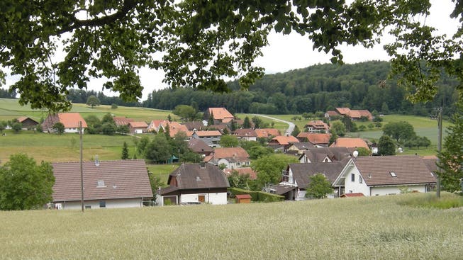 Die Stimmberechtigten von Lüterswil-Gächliwil verabschiedeten eine positive Rechnung.
