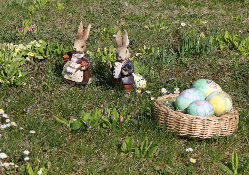 Ostern ist... wenn statt Schäfchen Herr und Frau Hase im Rasen grasen! Christopher Lawrence / Laufen (SO)