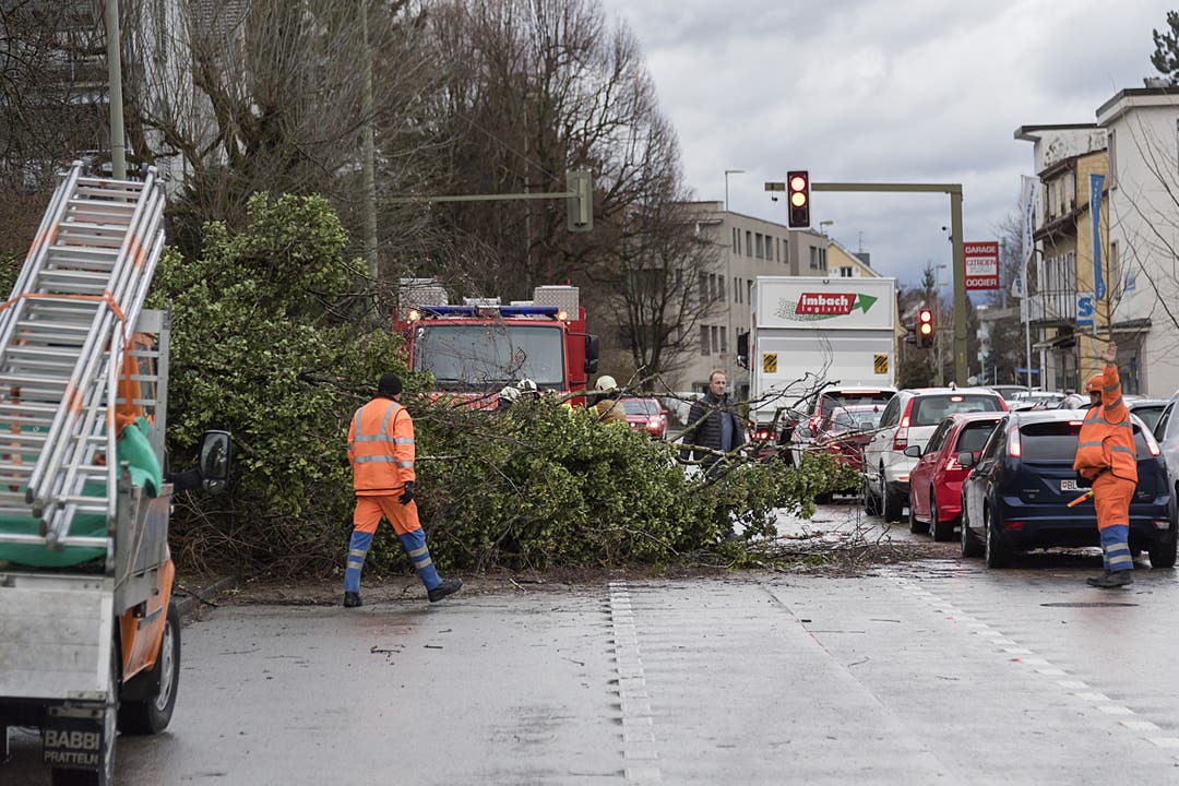 Ein wegen des Strums Burglind umgestuerzter Baum behindert den Verkehr an der Oberwilerstrasse in Binningen