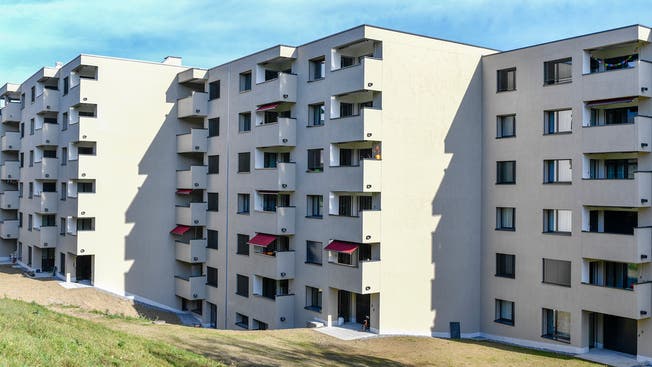 Rund ein Drittel der Wohnungen in der städtischen Wohnsiedlung Paradies in Wollishofen wird subventioniert. (Archiv)