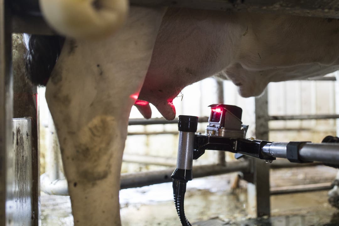 Der Waldhof in Buttwil Silvia Emmenegger erzählt, dass man neu nicht mehr selbst melken müsse. "Die Kühe gehen von selbst zur Maschine und kriegen Kraftfutter zur Belohnung", sagt sie. Das erleichtere ihre Arbeit sehr.