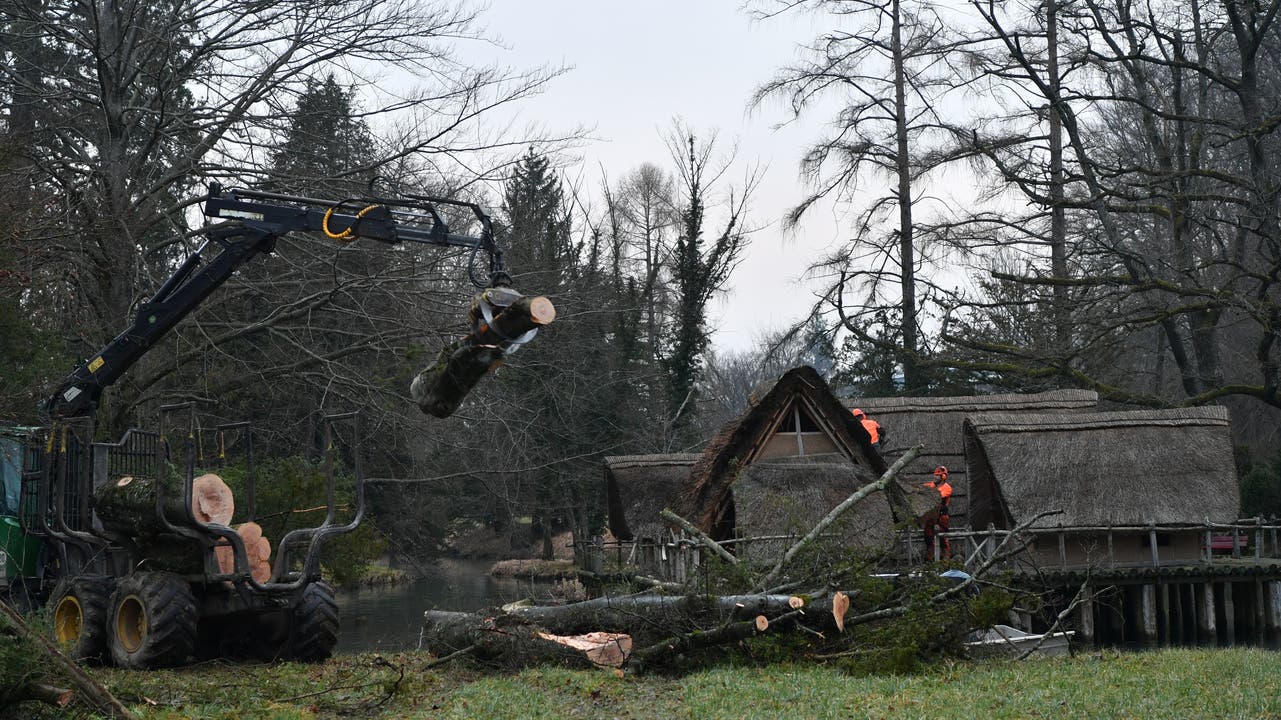 Ein Forstunternehmen aus Niedergösgen führte die Aufräumarbeiten aus...