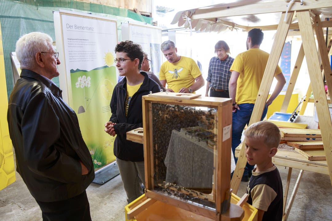 An der Ausstellung wird über Bienen diskutiert und informiert