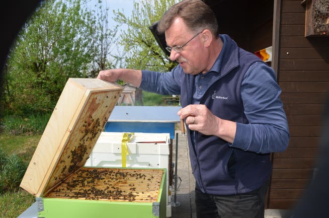 Imker Marcel Strub bei den Bienen.