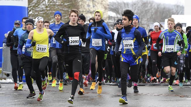 Die Läuferinnen und Läufer des Dietiker Neujahrslaufs können sich dieses Jahr auf gute Bedingungen freuen.