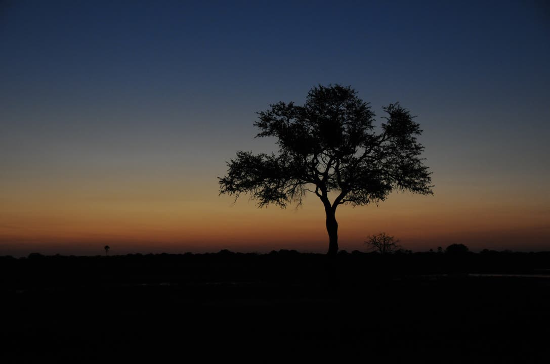  Die Sonnenuntergänge im Hwange-Nationalpark sind atemberaubend.