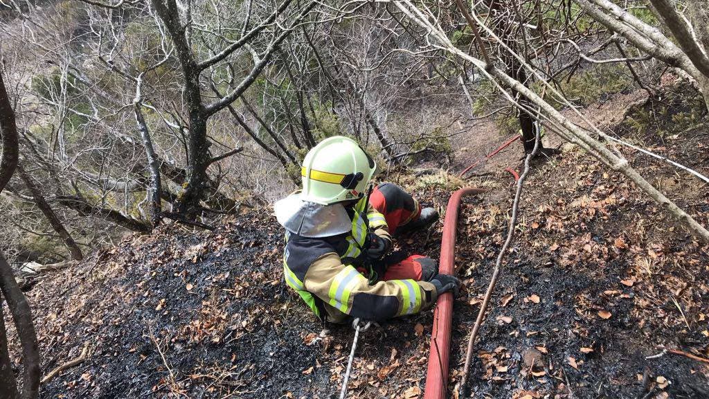 Feuerwehrleute im Einsatz beim Waldbrand am Balmberg
