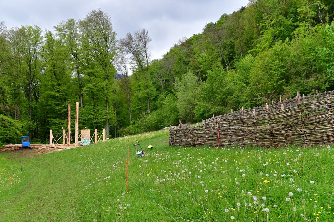 Aufbau zum «Schweiz-Aktuell»-Sommerprojekt «Leben wie vor 500 Jahren» in Oensingen hat begonnen