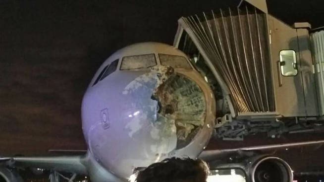 Die Nase und die Windschutzscheibe des Flugzeuges wurden massiv beschädigt.