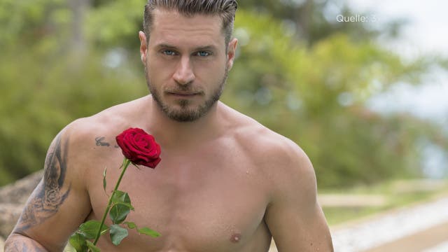 Aber eben: Jetzt in der neuen Staffel geht es um den neuen Bachelor Joel aus dem Kanton Schwyz. Wer gewinnt sein Herz und seine letzte Rose? Elena aus Dietikon scheint jedenfalls eine Chance zu haben.