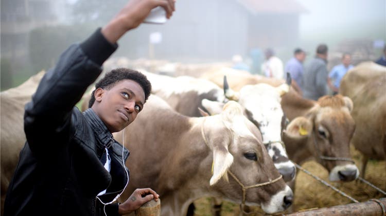 Für Eritreer wird die Luft in der Schweiz immer dünner