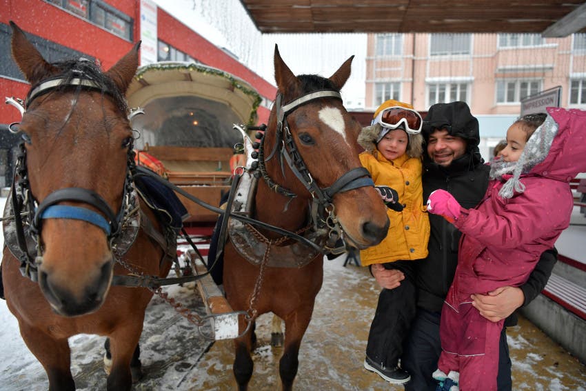 Trotz Schnee konnten die Besucher Kutsche fahren und Pferde bewundern. (Archivbild)