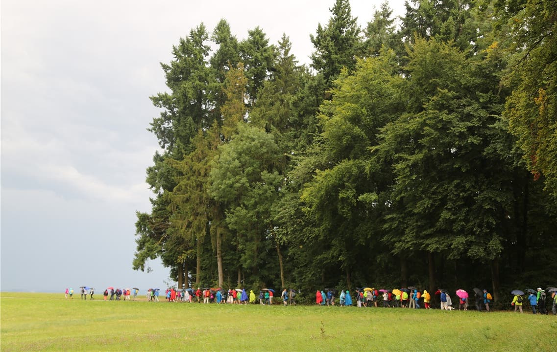  104 Leserwanderer liefen gestern zehn Kilometer um Solothurn.