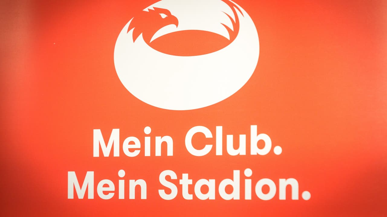 «Meinstadion.ch»-Pressekonferenz (15.11.2017)