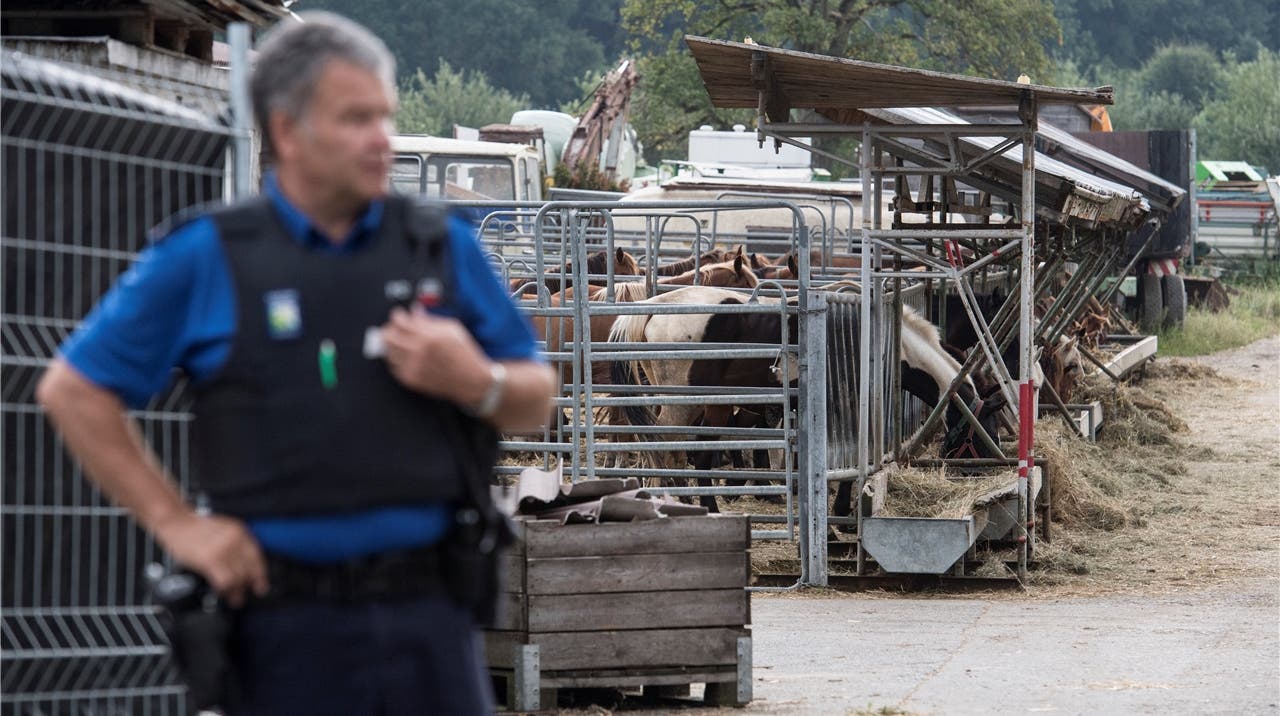 Der ehemalige Hofmitarbeiter Jonas musste mit ansehen, wie «seine» geliebten Pferde abtransportiert wurden. Die Polizei liess ihn nicht an seinen ehemaligen Arbeitsort. (Symbolbild)
