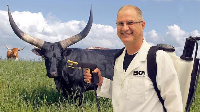 Der Biotech-Konzern Isca entwickelt ein Mittel, das Kühe und Ziegen nach menschlichem Schweiss riechen lässt. Ho