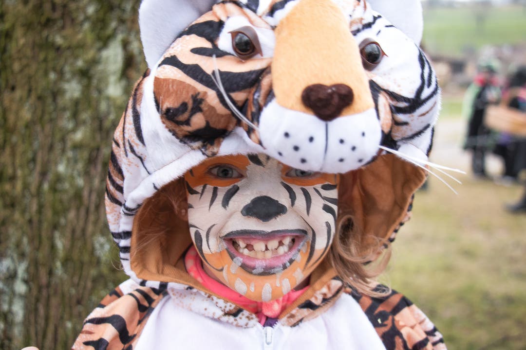 Ilária (6) geht als Tiger an die Fasnacht, weil "er stark ist und sich vor niemandem fürchtet".