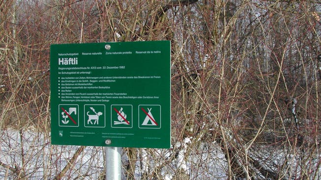 Auf dem Aare-Inseli «Häftli» bei Büren befindet sich heute ein Naturschutzgebiet. Nur ein Gedenkstein und ein altes Waschhaus zeugen davon, dass hier einmal das grösste «Concentrationslager» der Schweiz während des Zweiten Weltkriegs stand.