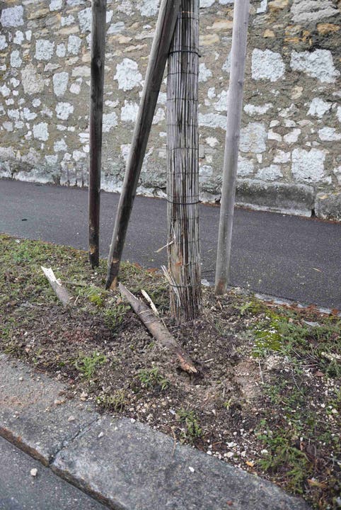 Solothurn SO, 21. Januar Ein Automobilist an der «Untere Steingrubenstrasse» hat sowohl einen Baum wie auch ein Strassensignal angefahren und beschädigt. Beim Verursacherfahrzeug dürfte es sich um einen schwarzen Saab handeln.
