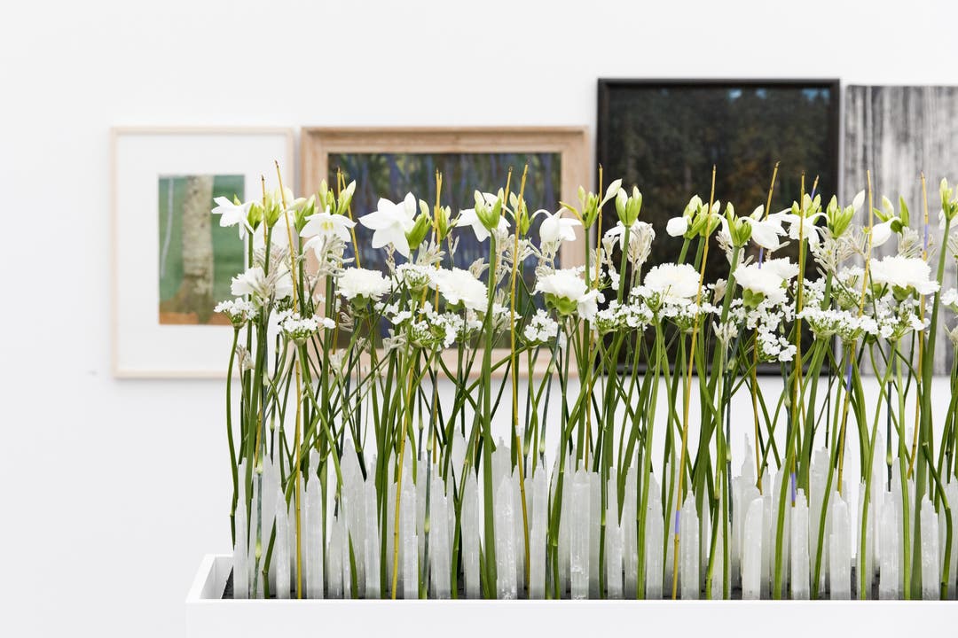 Im oberen Stockwerk des Kunsthauses werden die Besucher durch das Arrangement der St. Galler Floristin Sandra Diener begrüsst. Sie interpretiert «Through the Bamboo Grove» von Mireille Gros.