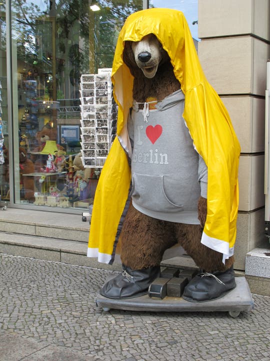 undefined Auch Berlinerbären frieren an den Ran......