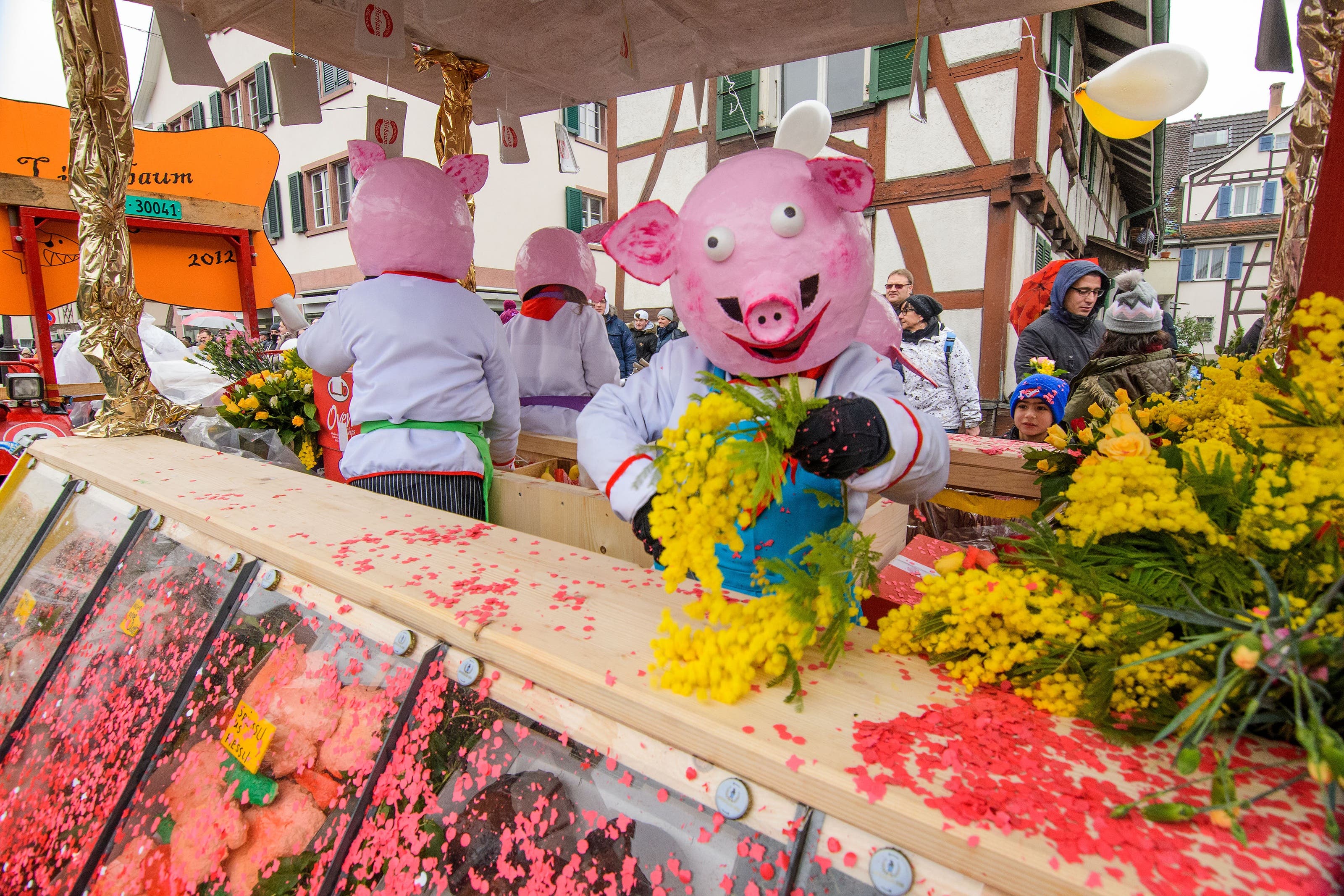 Bildstrecke Allschwiler Fasnacht 2018