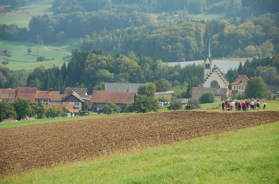 In Baldingen bestehen einige landwirtschaftliche Betriebe. Der höchste Punkt der Gemeinde liegt auf 575 Metern, auf der Spornegg.