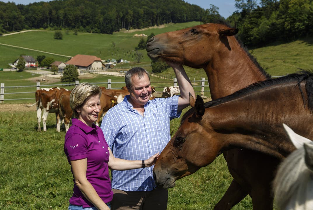 Stefan Oser und Petra Voss umgeben von Pferden und Kühen