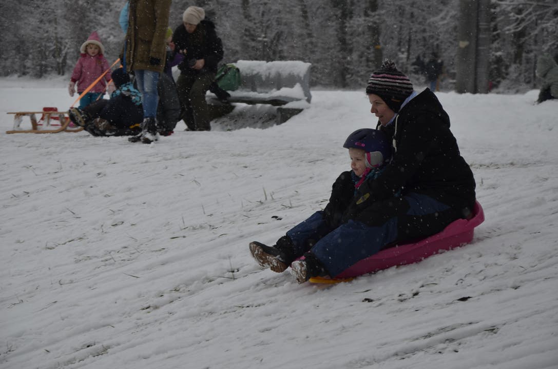 Schlitteln auf der Baldegg Beim ersten grossen Schnee im Jahr schlitteln Kinder mit ihren Eltern oder Grosseltern auf der Baldegg in Baden.