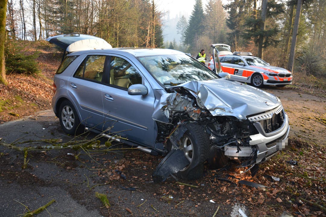Gretzenbach SO, 26. Februar: Automobilist weicht entgegenkommendem Kleinwagen aus und prallt in Baum. Der Verunfallte zog sich leichte Verletzungen zu. Der Lenker des Kleinwagens fährt ohne Hilfeleistung weiter.