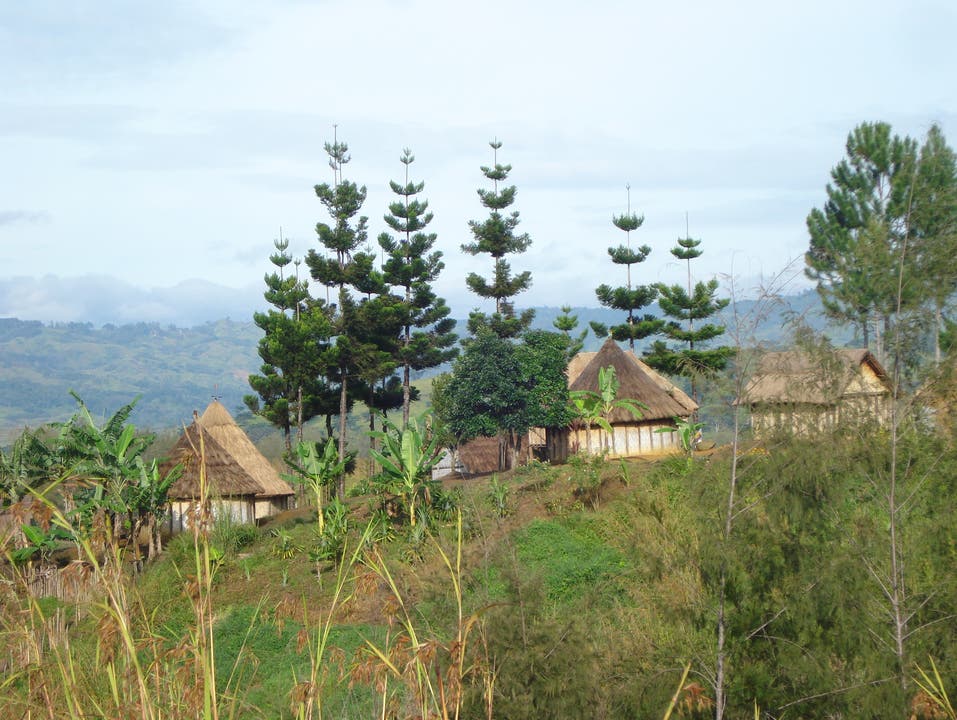  Die meisten Menschen in Papua Neuguinea leben in ruralen Gebieten und nach wie vor in Häusern aus Bambus und Kunaigras.
