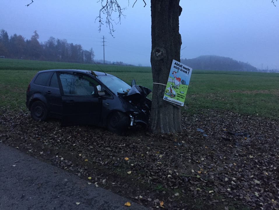 Scherz (AG), 25. November Ein 50-Jähriger kommt mit seinem Ford Focus von der Strasse ab und prallt in einen Baum. Er stirbt kommt beim Aufprall ums Leben.