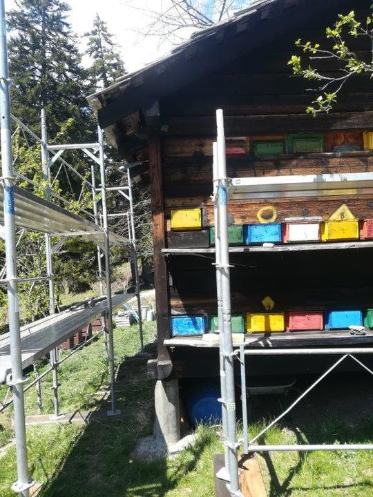 Renovation Dach Bienenhaus