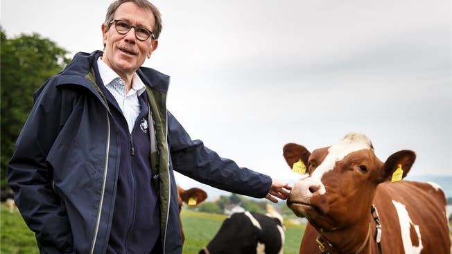 Karl Heeb erlebte mit, wie mit Zucht und Gentechnik das Leiden der Kühe gelindert wurde.