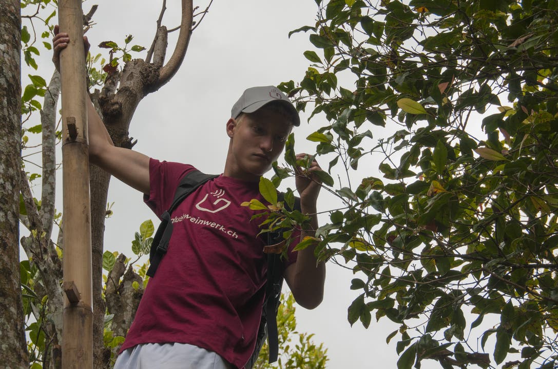  Aurel Hess bei einem Besuch auf einer Nelkenplantage in Munduk, Bali, Indonesien.