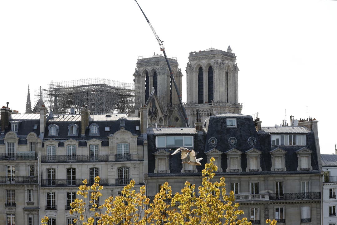 Das Pariser Wahrzeichen zwei Tage nach dem Brand.