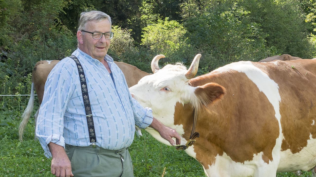 Schweizer stimmten für Verstümmelung der Kühe