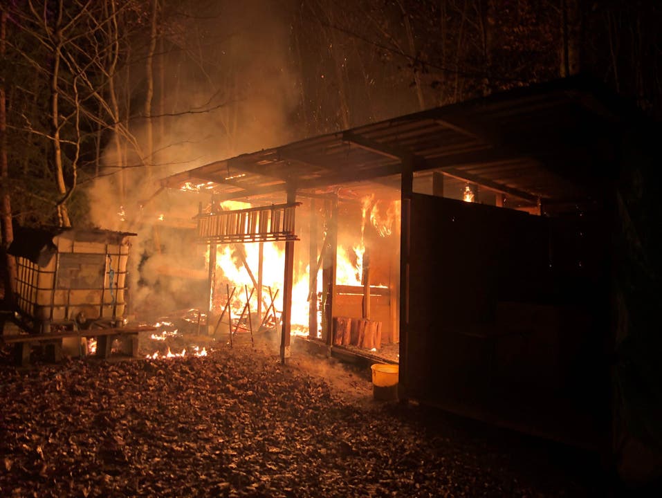 Hausen AG, 20. Januar: Zwei Holzschuppen geraten in Brand, die Polizei schliesst Brandstiftung nicht aus.