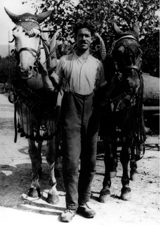 ca. 1925: Julius Busslinger mit seinen Pferden Gambetta und Max auf der Hofstrasse. ca. 1925: Julius Busslinger mit seinen Pferden Gambetta und Max auf der Hofstrasse.