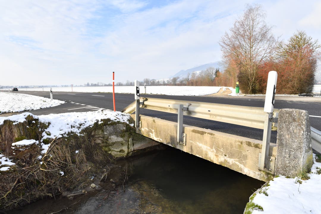 Biberspuren beim Weiher am Chrebsbach in Kestenholz Ein Biber hatte unter der Brücke einen Damm errichtet, welcher insbesondere bei Hochwasser zu einem Problem hätte auswachsen können