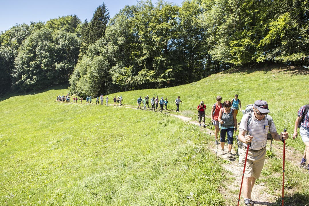 AZ Leserwandern 2018, 9. Etappe, Trimbach In der neunten Etappe ging es von Trimbach auf die Frohburg und zum Schloss Wartenfels. Eine Wanderung mit vielen schönen Aussichten.