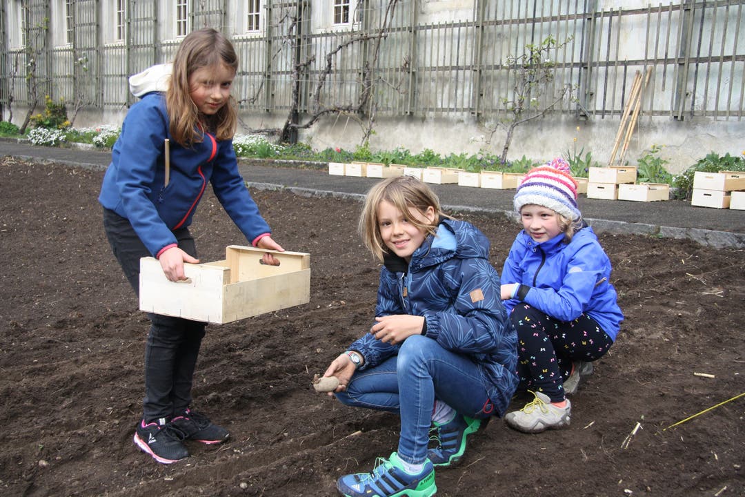 Die Kinder hatten viel Spass an der "Pflanzete".