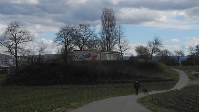 Der Schlieremer Berg ist bei Spaziergängern beliebt. Und das alte Schützenhaus auch bei Sprayern.