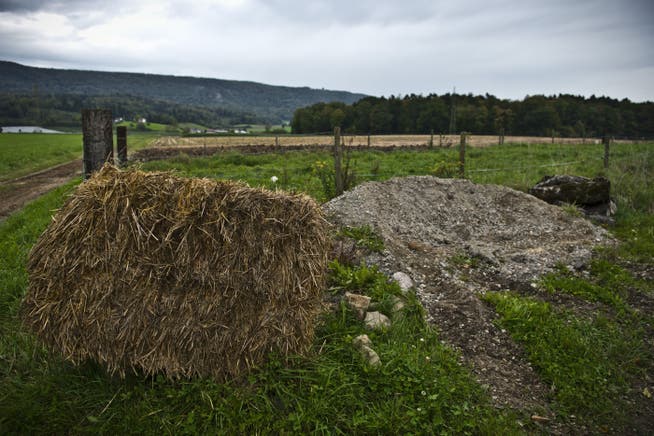 Landwirtschaftsland, Blick in Richtung Otelfingen. Gegner der Deponie befürchten, dass das Landschaftsbild verändert wird. Archiv